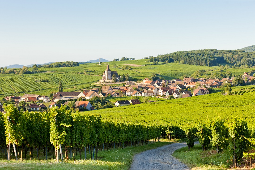 Week-end Beaujolais et Pierres Dorées